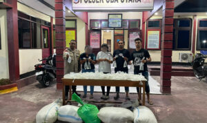IMG-20260819-WA0024