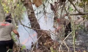VideoCapture_20260922-200521