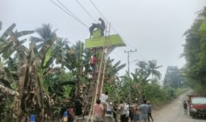 IMG-20261008-WA0061