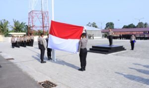 IMG-20261028-WA0151